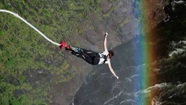 Saut à l’élastique ou parachute ? Comparatif des sports extrêmes dans les airs